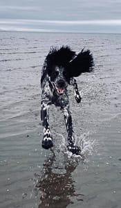 I think Leo is happy??